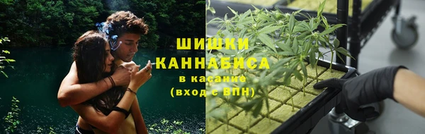 PSILOCYBIN Арсеньев