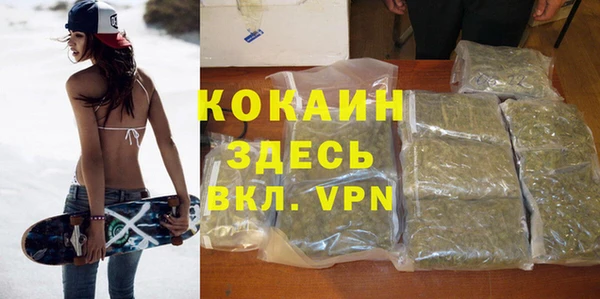 ПСИЛОЦИБИНОВЫЕ ГРИБЫ Балабаново