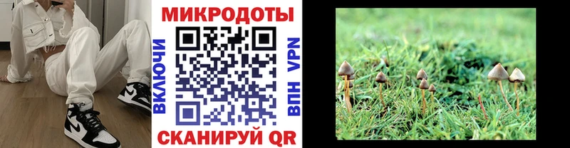 купить   Комсомольск  Галлюциногенные грибы Magic Shrooms 